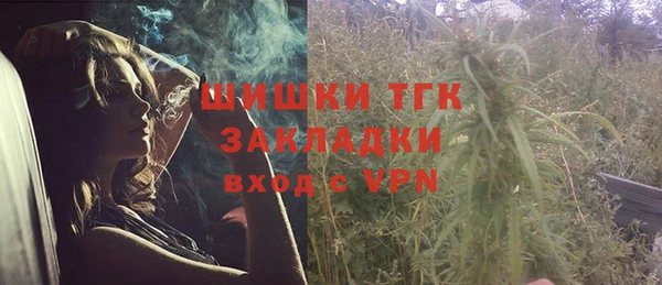молекула духа Белокуриха