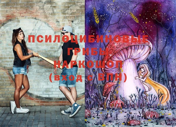 молекула духа Белокуриха