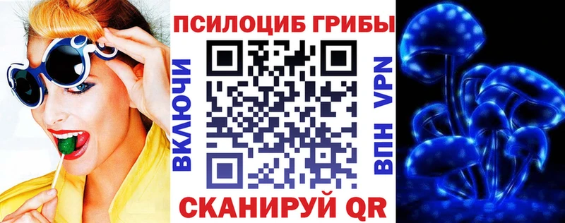 что такое   Андреаполь  Псилоцибиновые грибы Cubensis 