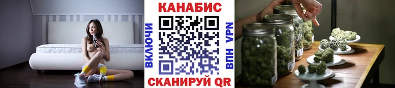 Конопля сатива  Андреаполь 